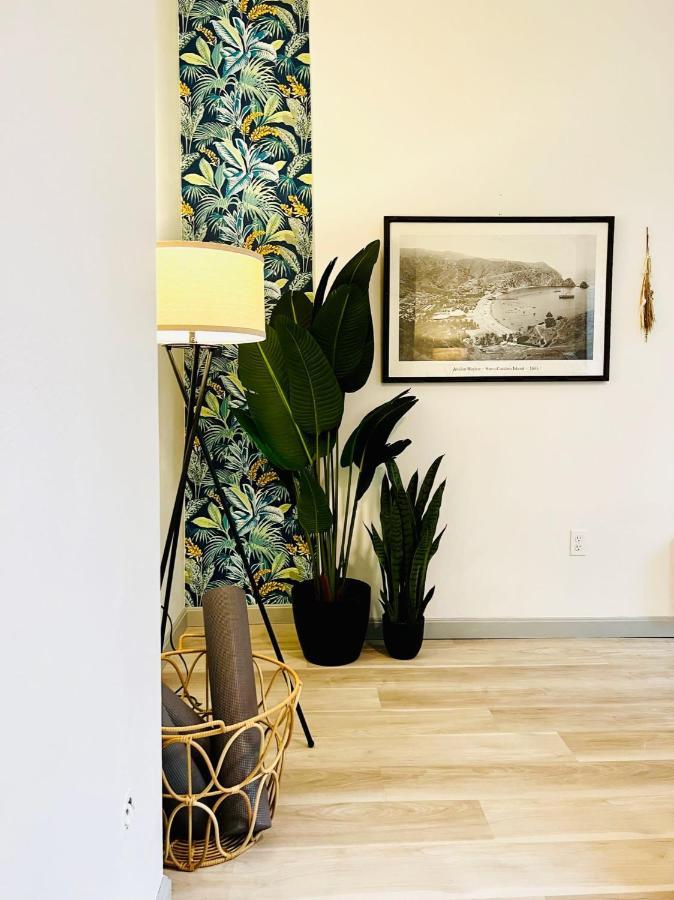 New 1 Bed 1 Bath: Close To Stadiums Hospitals & Downtown